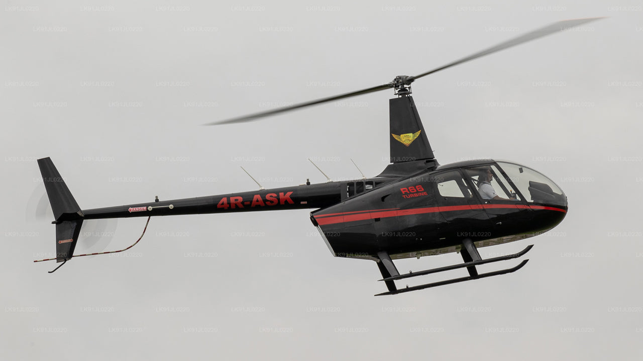 Robinson R66 (4 Sæder)