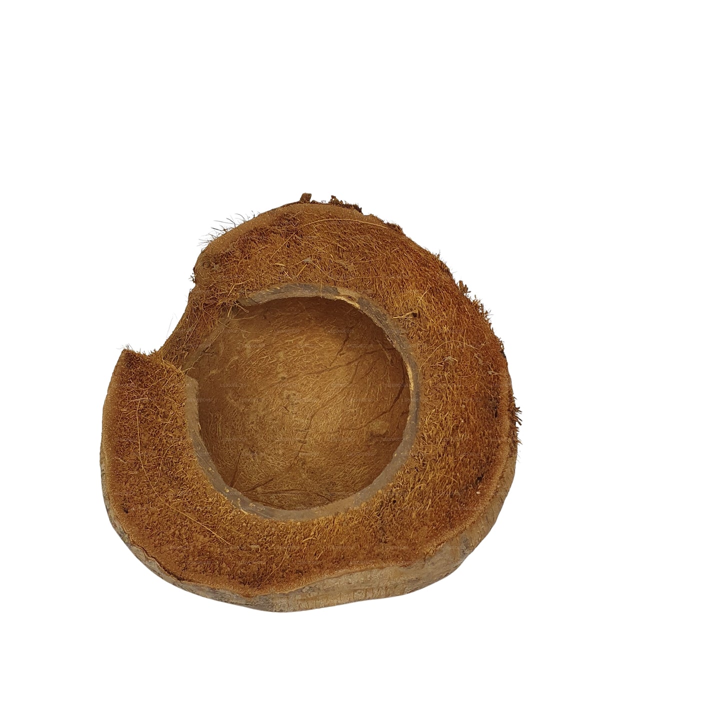 Bivenro Natural 3/4 Kakao-skjulested med skal-design (fri størrelse)