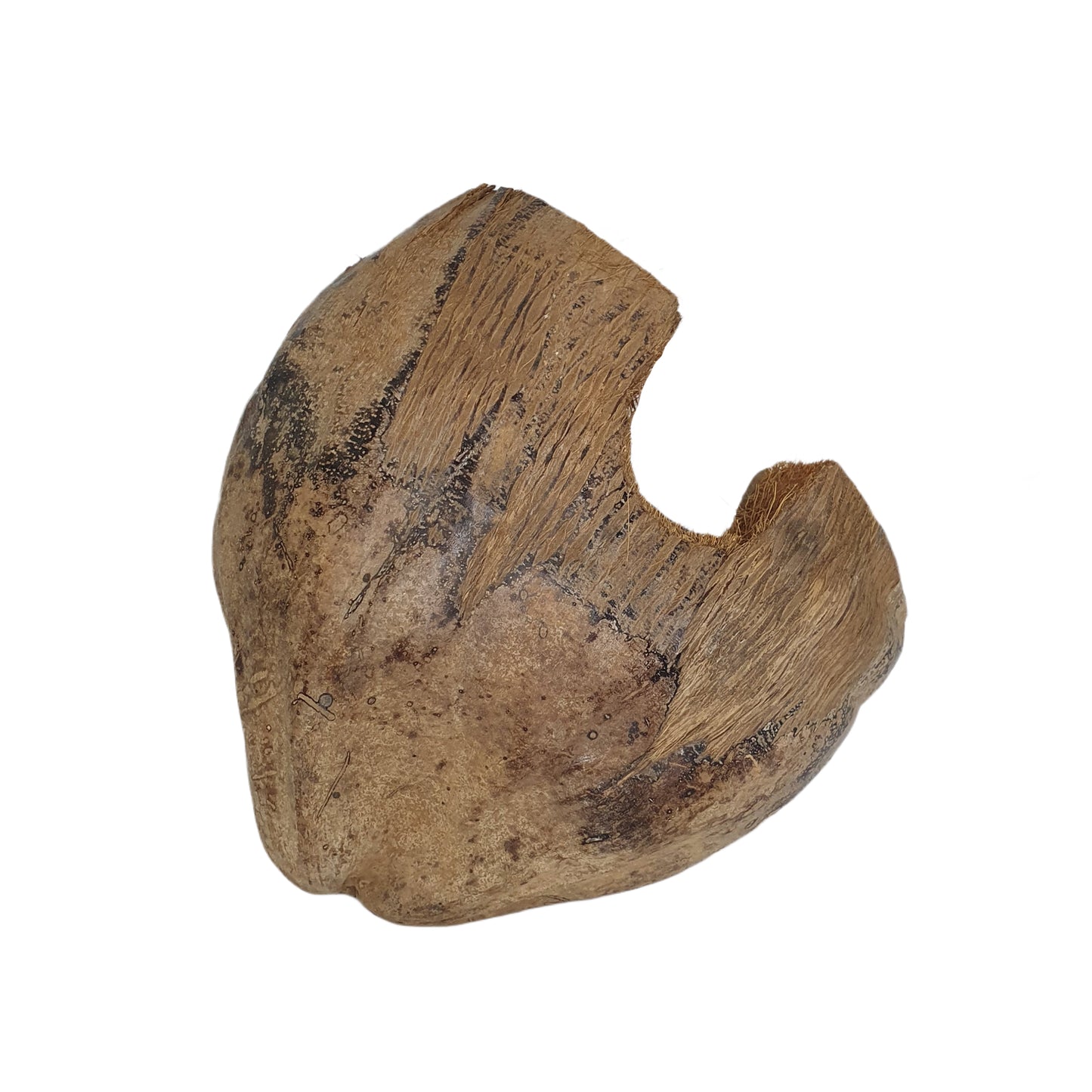 Bivenro Natural 3/4 Kakao-skjulested med skal-design (fri størrelse)