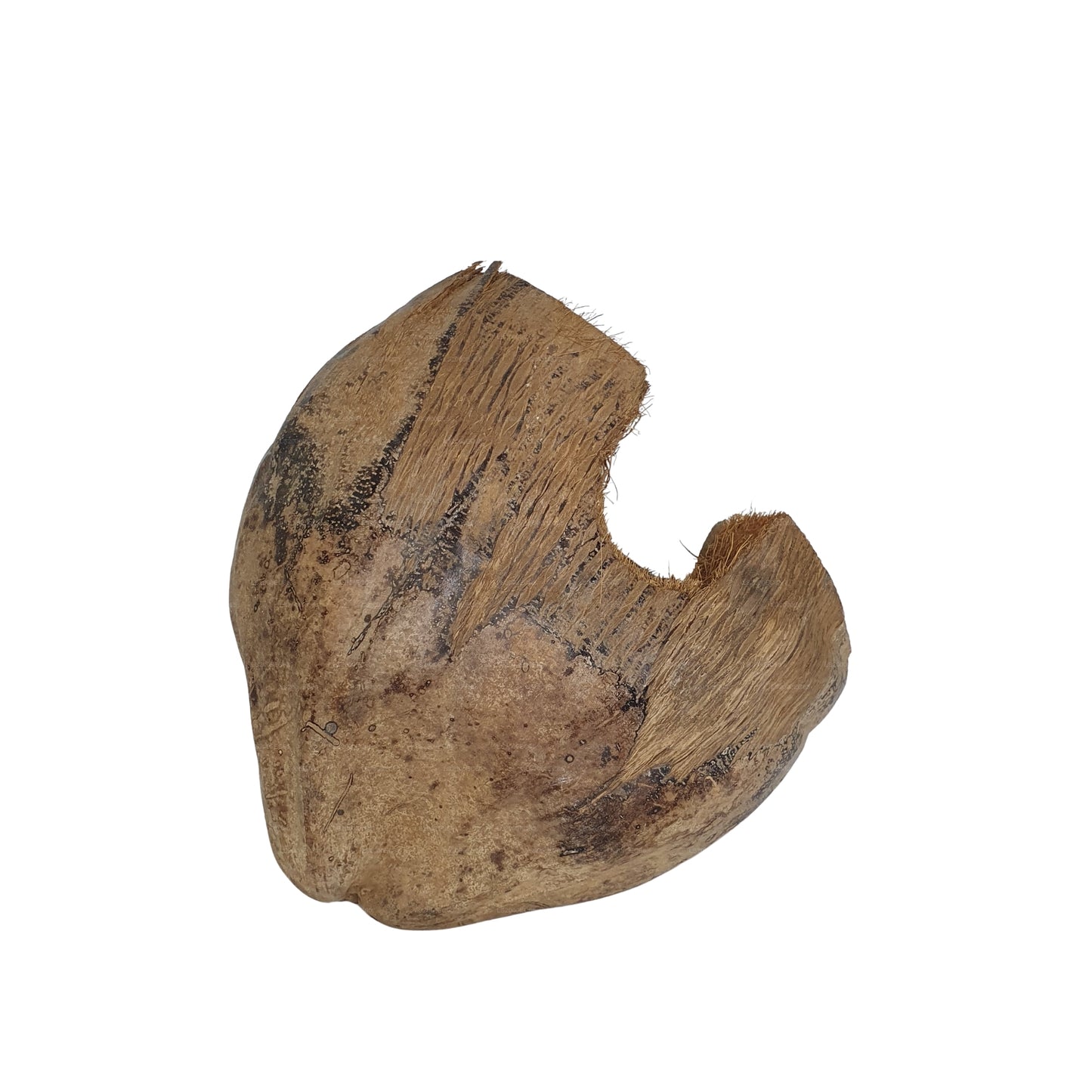 Bivenro Natural 3/4 Kakao-skjulested med skal-design (fri størrelse)