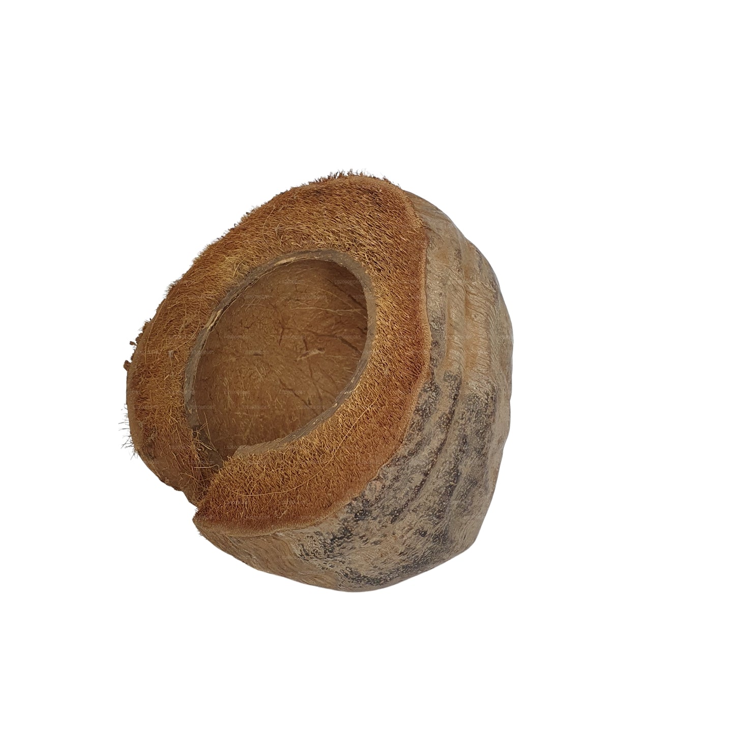 Bivenro Natural 3/4 Kakao-skjulested med skal-design (fri størrelse)