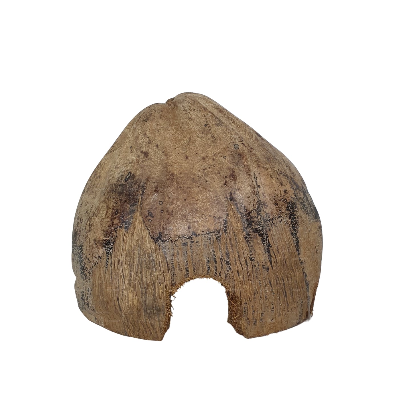 Bivenro Natural 3/4 Kakao-skjulested med skal-design (fri størrelse)