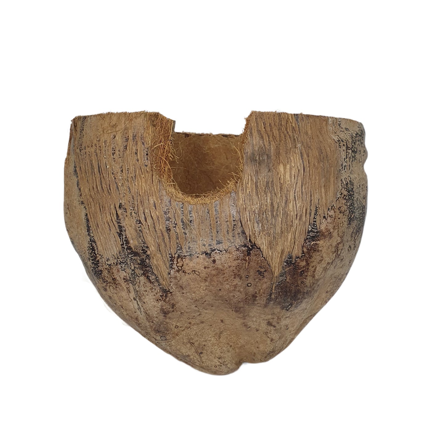 Bivenro Natural 3/4 Kakao-skjulested med skal-design (fri størrelse)