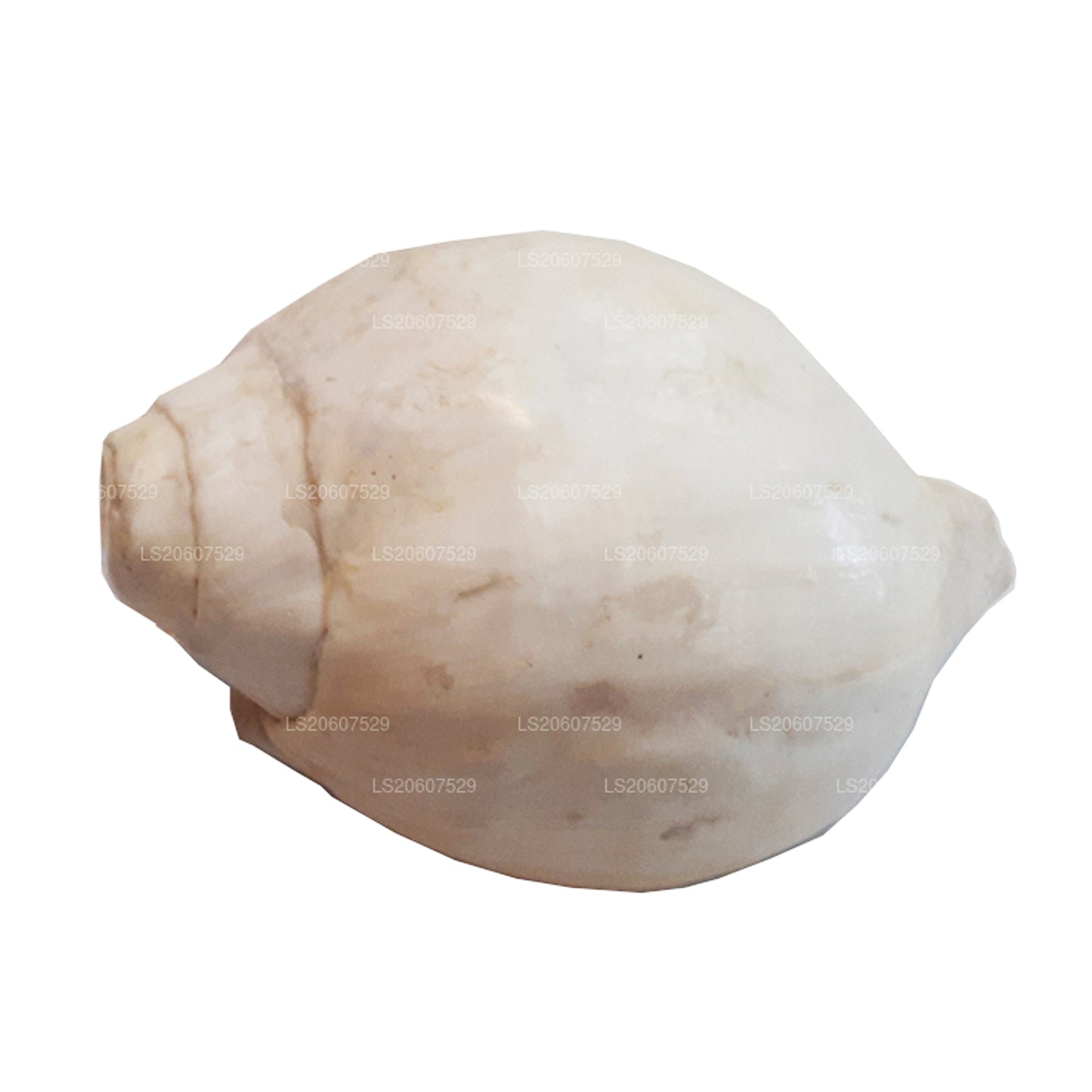 Lakpura Sri Lankas Hakgediya