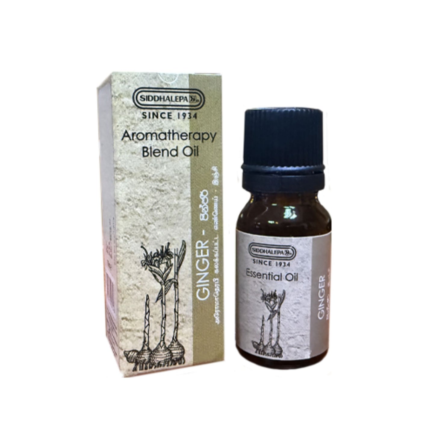 Siddhalepa Aroma Oil Ginger (10ml)