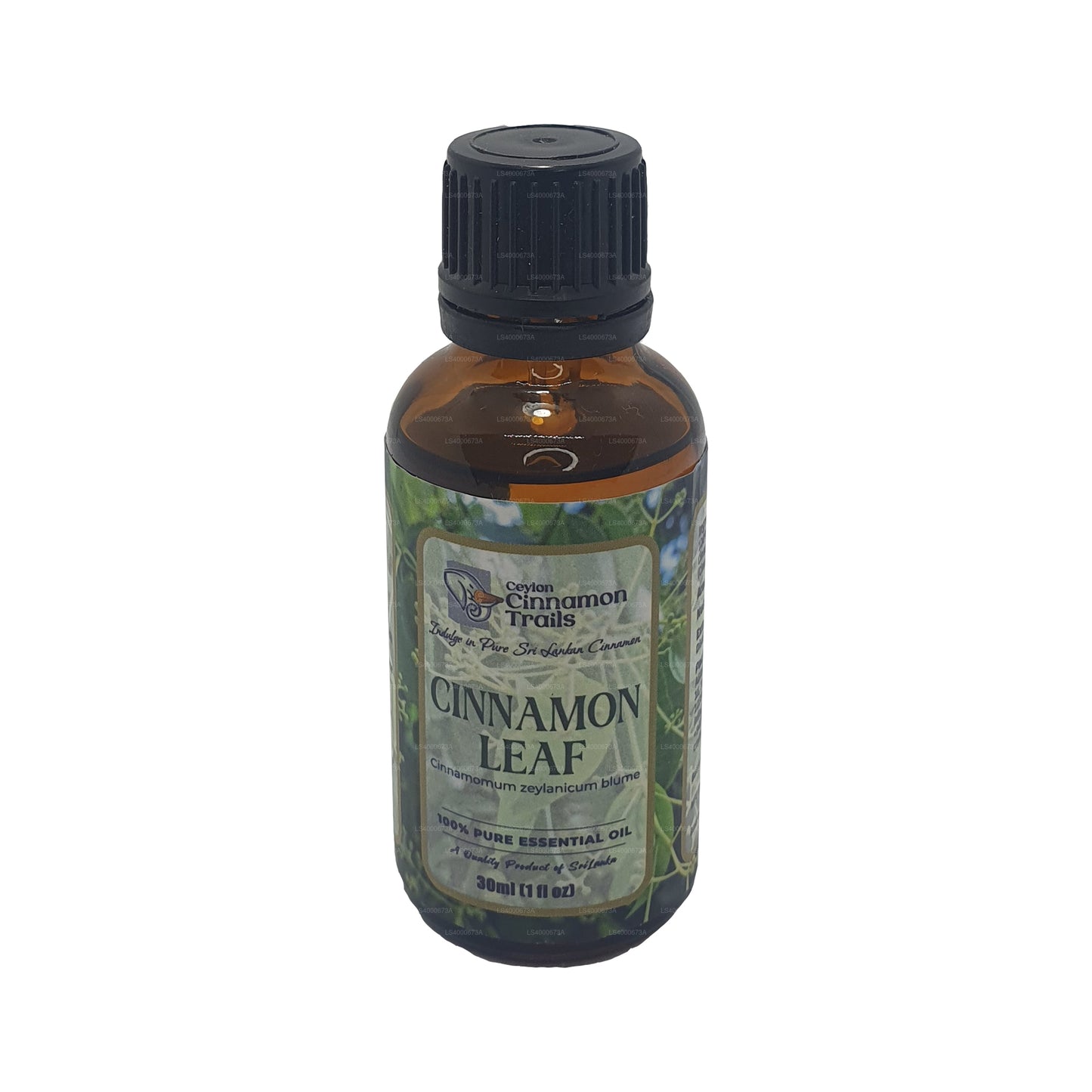 Ceylon Cinnamon Trails Cinnamon Leaf Essentiel Olie (10 ml)