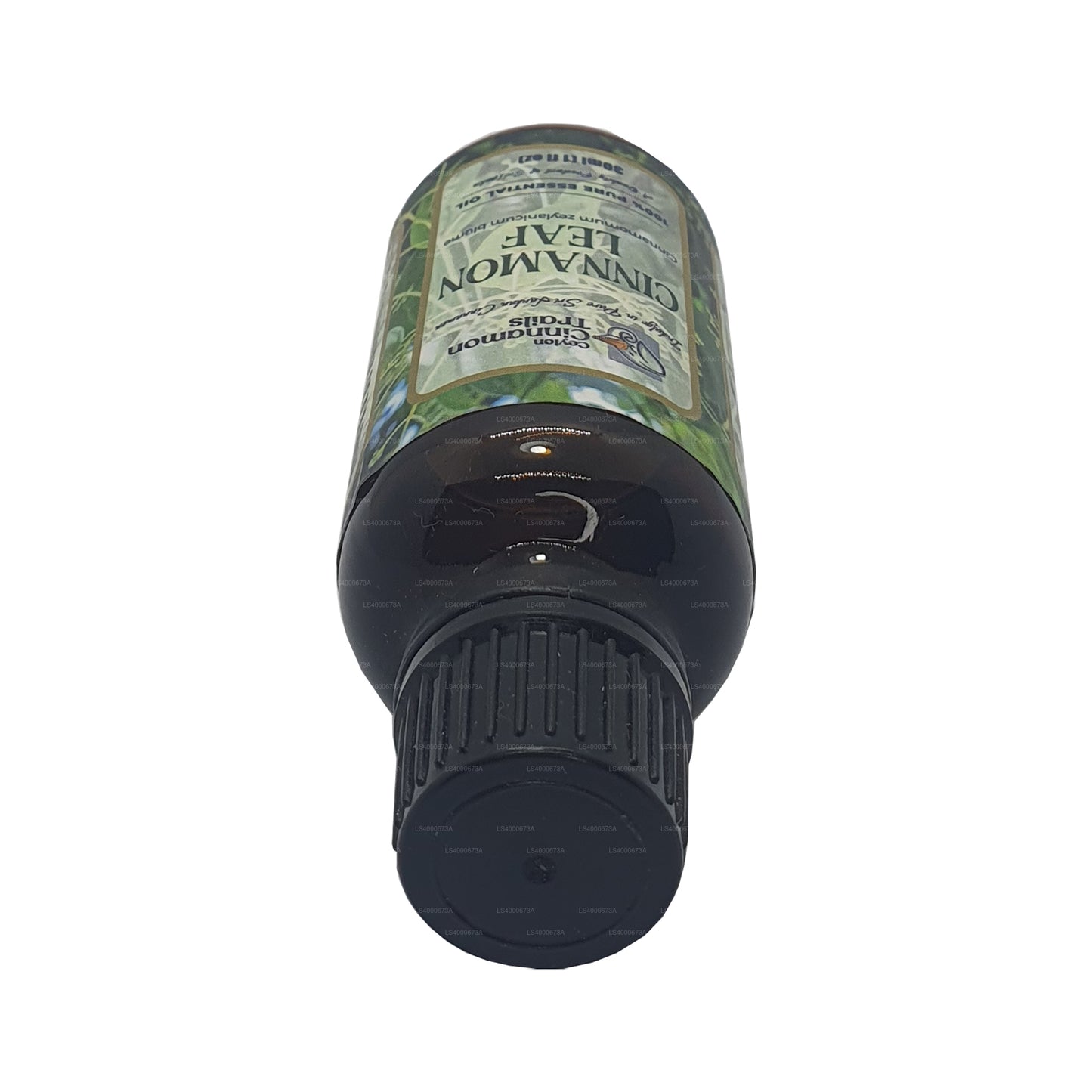 Ceylon Cinnamon Trails Cinnamon Leaf Essentiel Olie (10 ml)