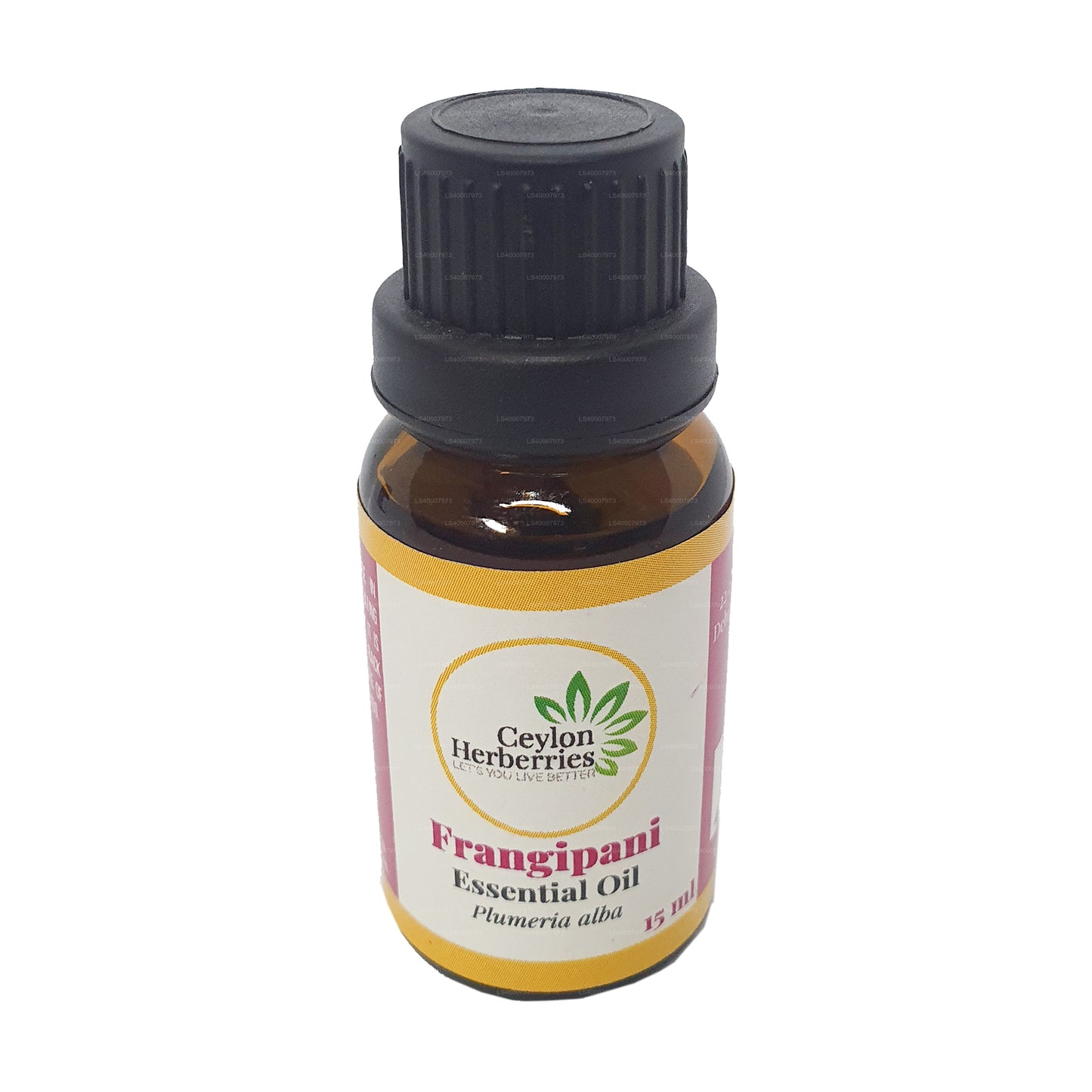 Ceylon Herberries Frangipani æterisk olie (Plumeria alba) 15ml