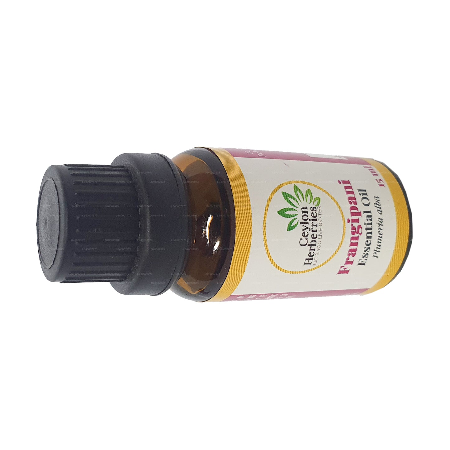 Ceylon Herberries Frangipani æterisk olie (Plumeria alba) 15ml