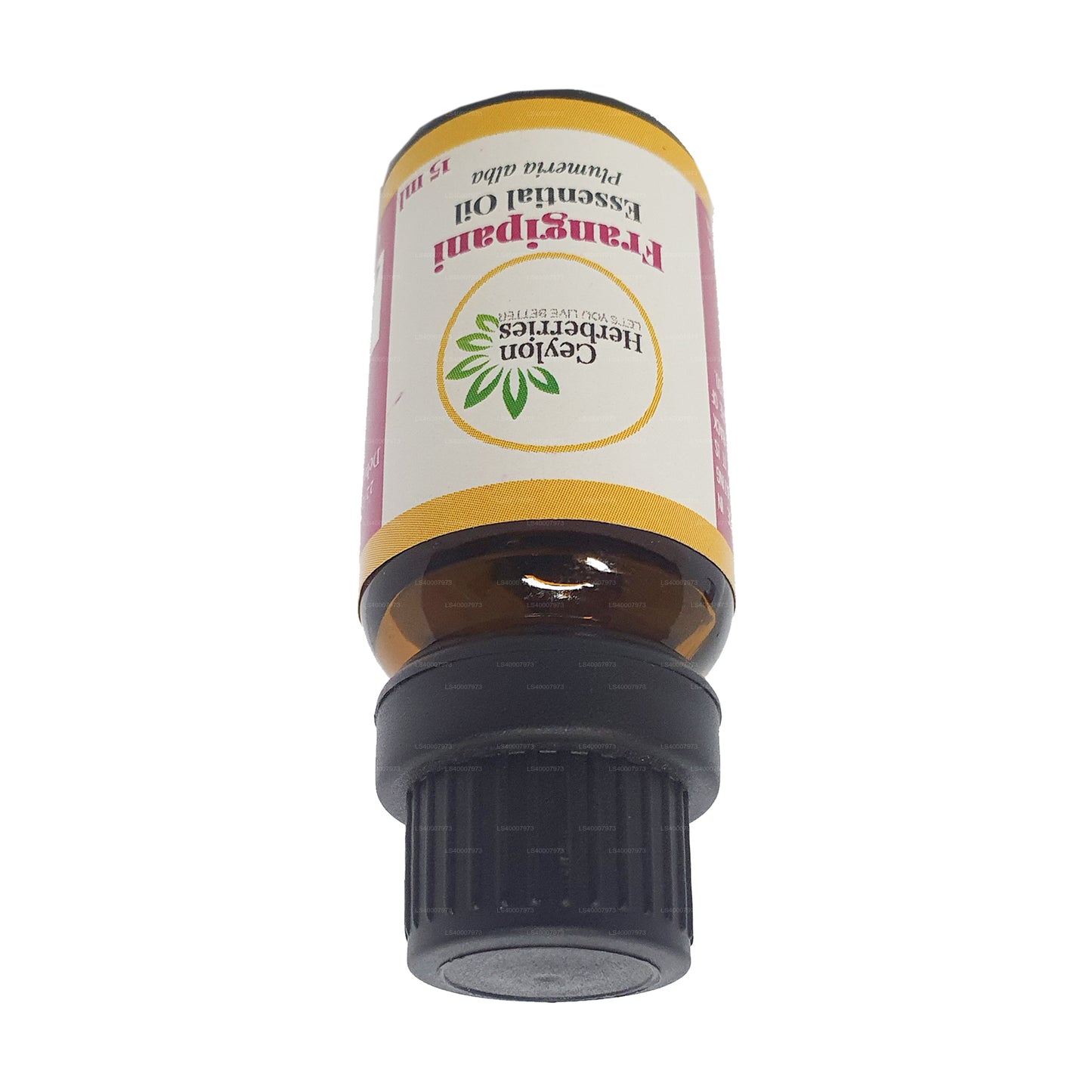 Ceylon Herberries Frangipani æterisk olie (Plumeria alba) 15ml