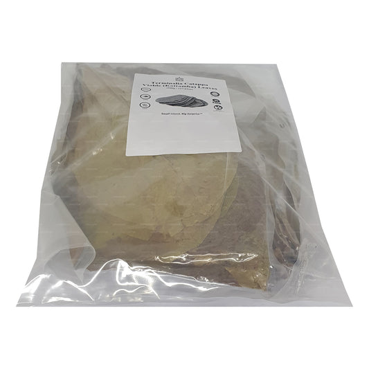 Lakpura Dehydreret (Kottan, Kottamba, indisk mandel) Terminalia catappa 100 blade (100 g)