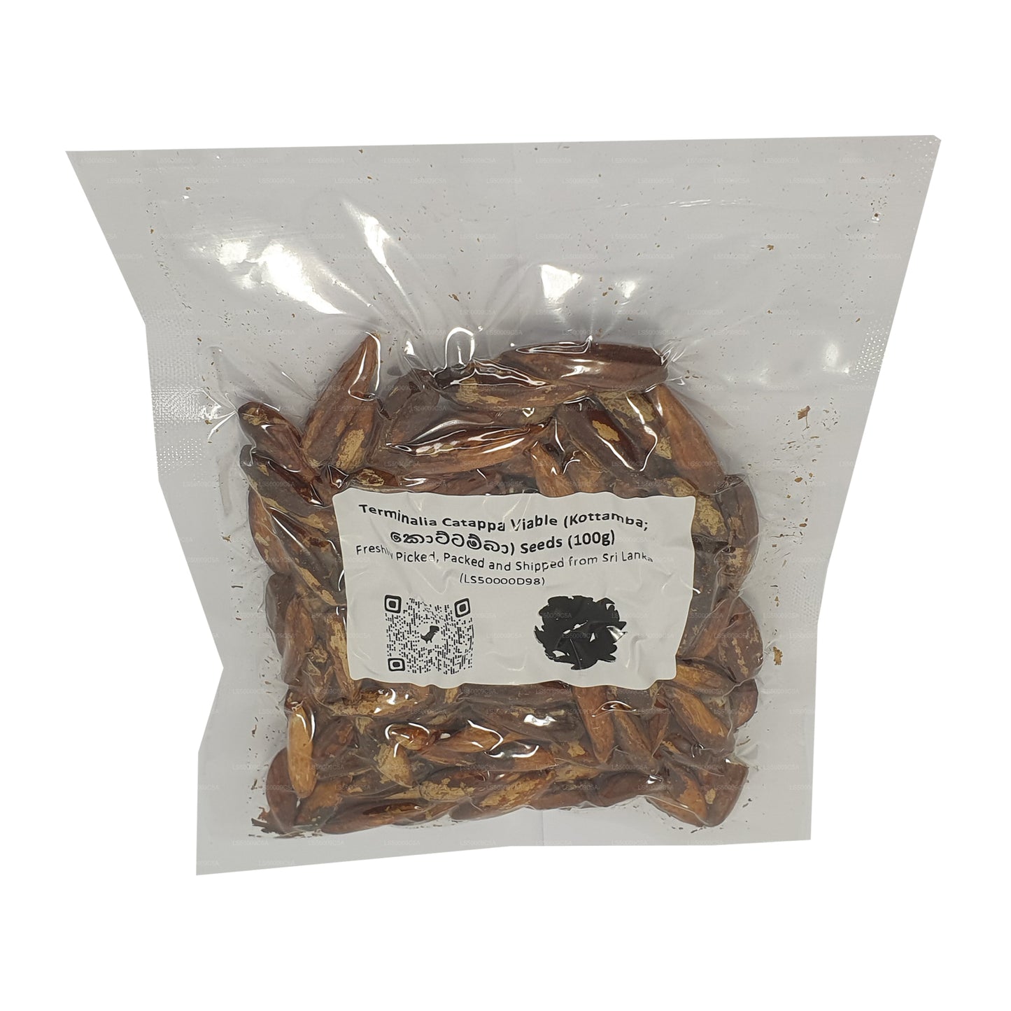 Lakpura® Terminalia Catappa Viable (Kottamba) frø