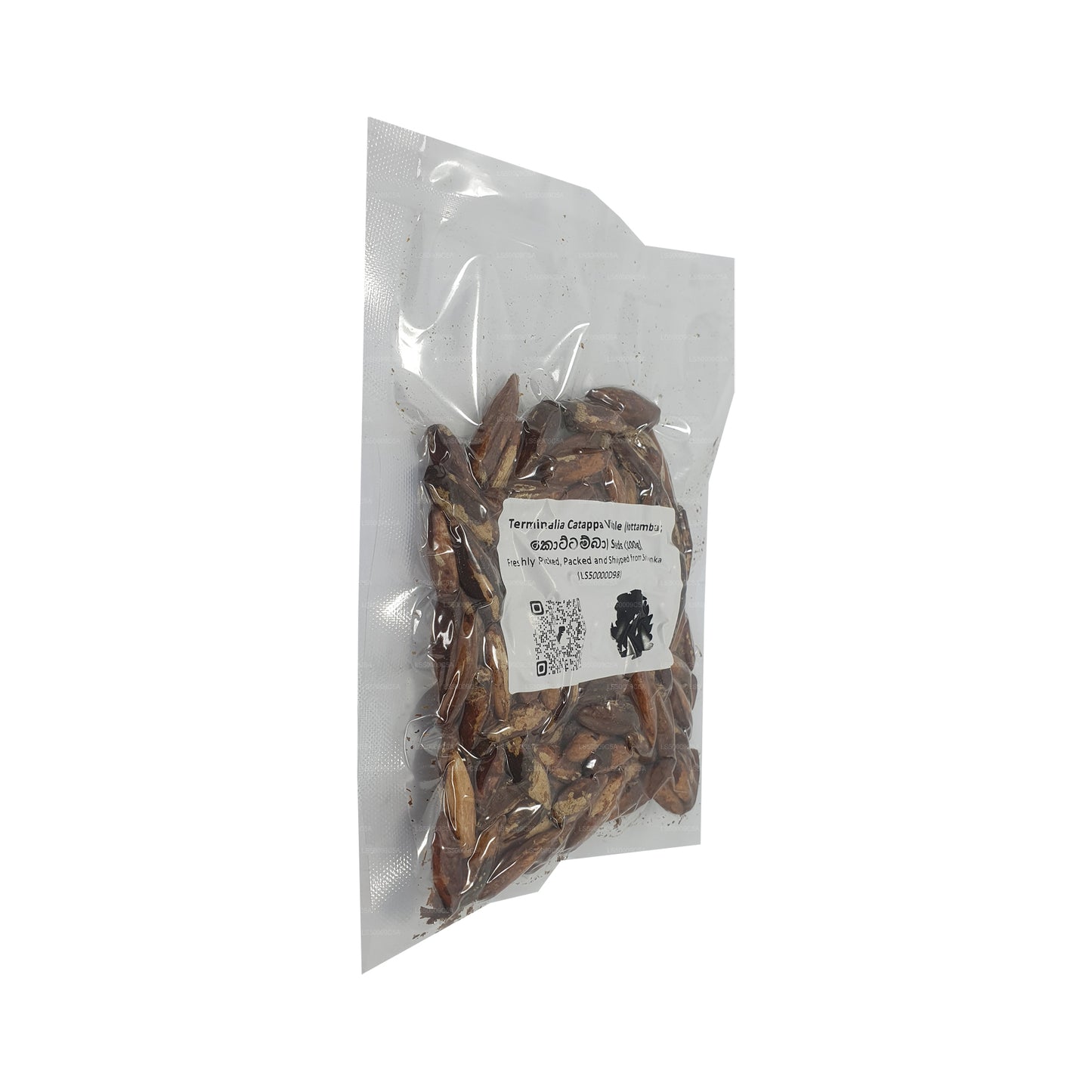 Lakpura® Terminalia Catappa Viable (Kottamba) frø