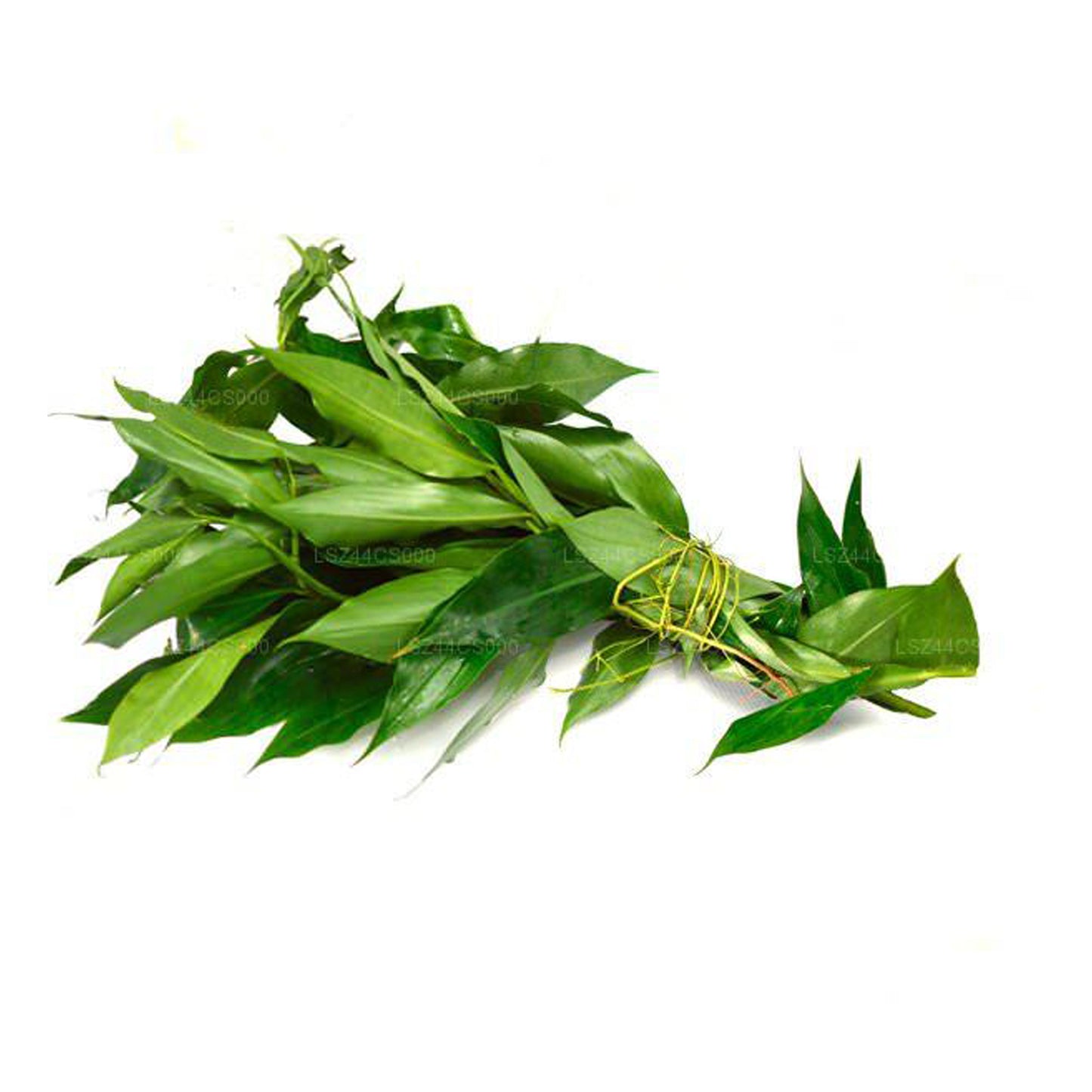 Lakpura® Fresh Thebu Leaves