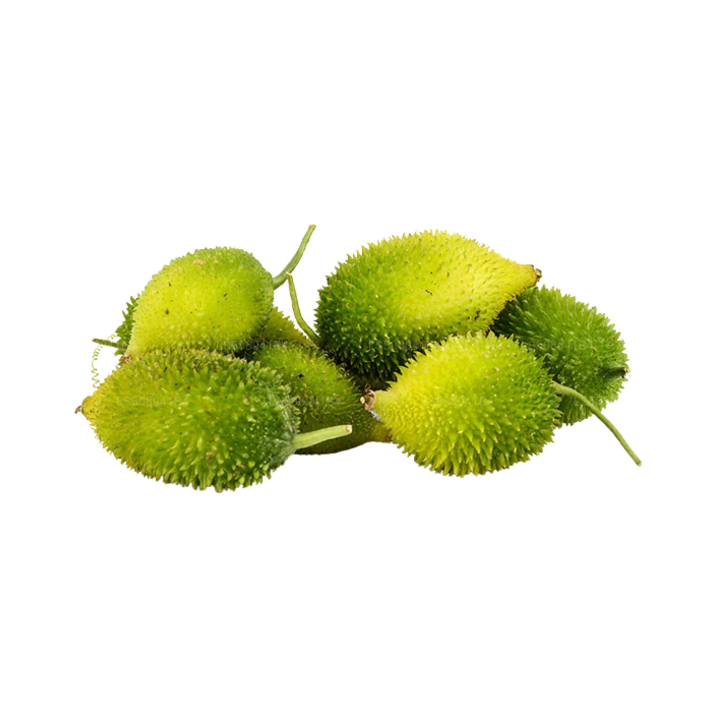 Lakpura® Thumba Karawila