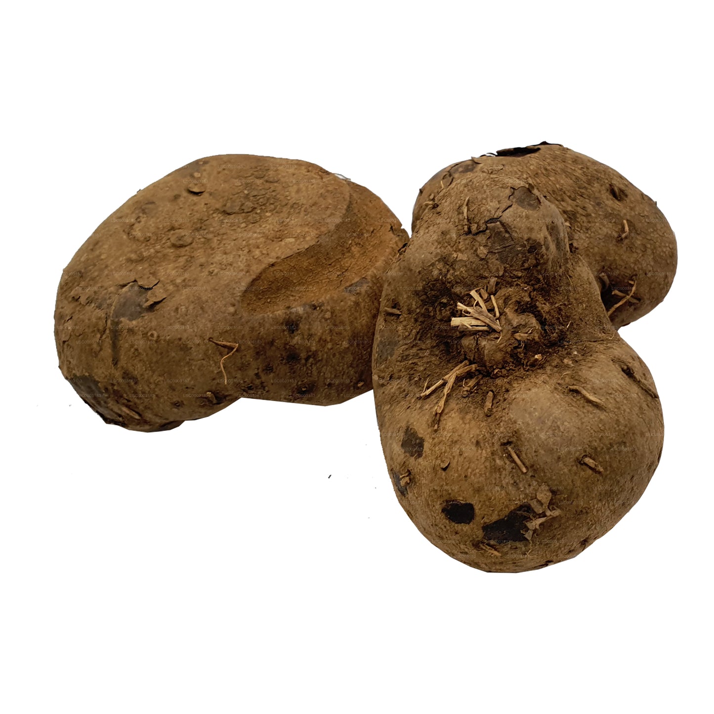 Lakpura® Dandila - Purple Yam - Dandila Ala