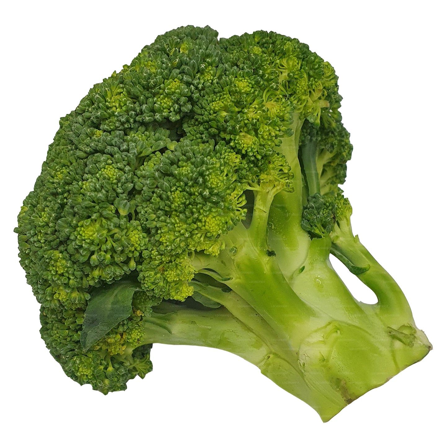 Lakpura® Broccoli