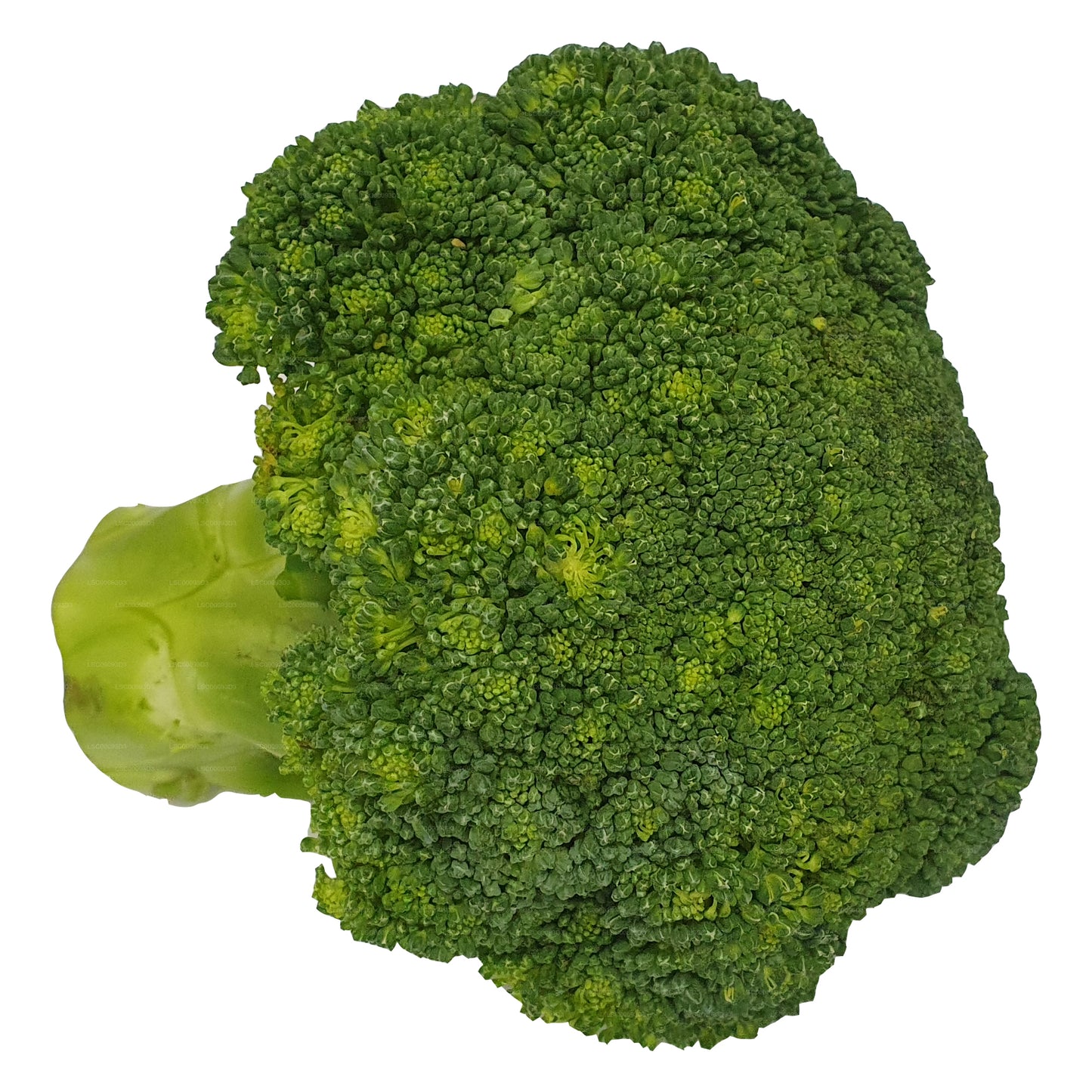 Lakpura® Broccoli