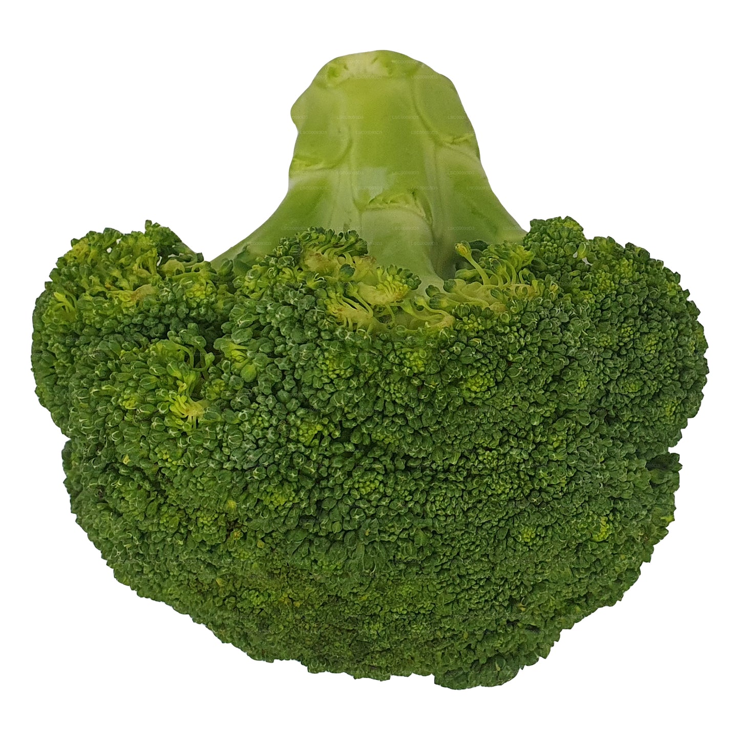 Lakpura® Broccoli