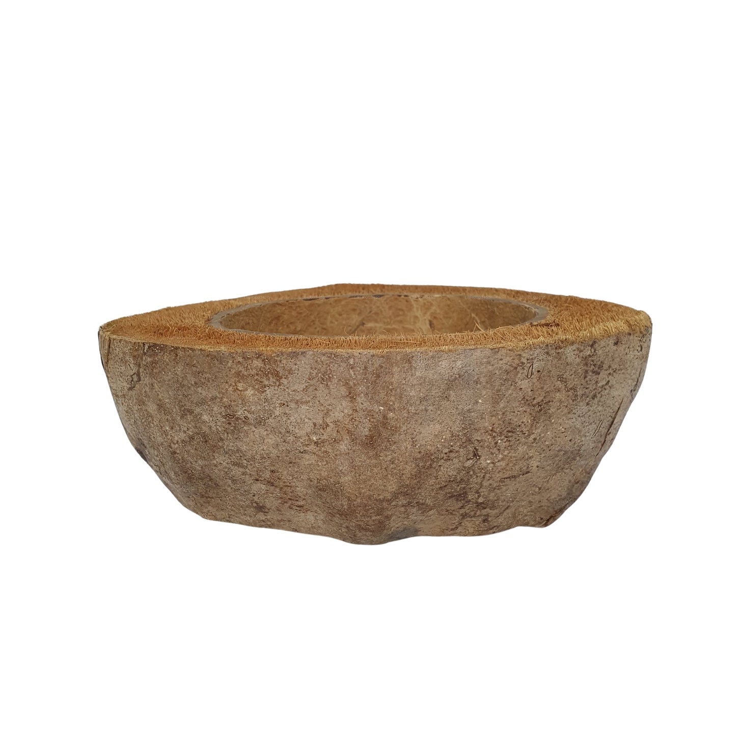 Bivenro Natural Coconut Plantepotte-design (fri størrelse)