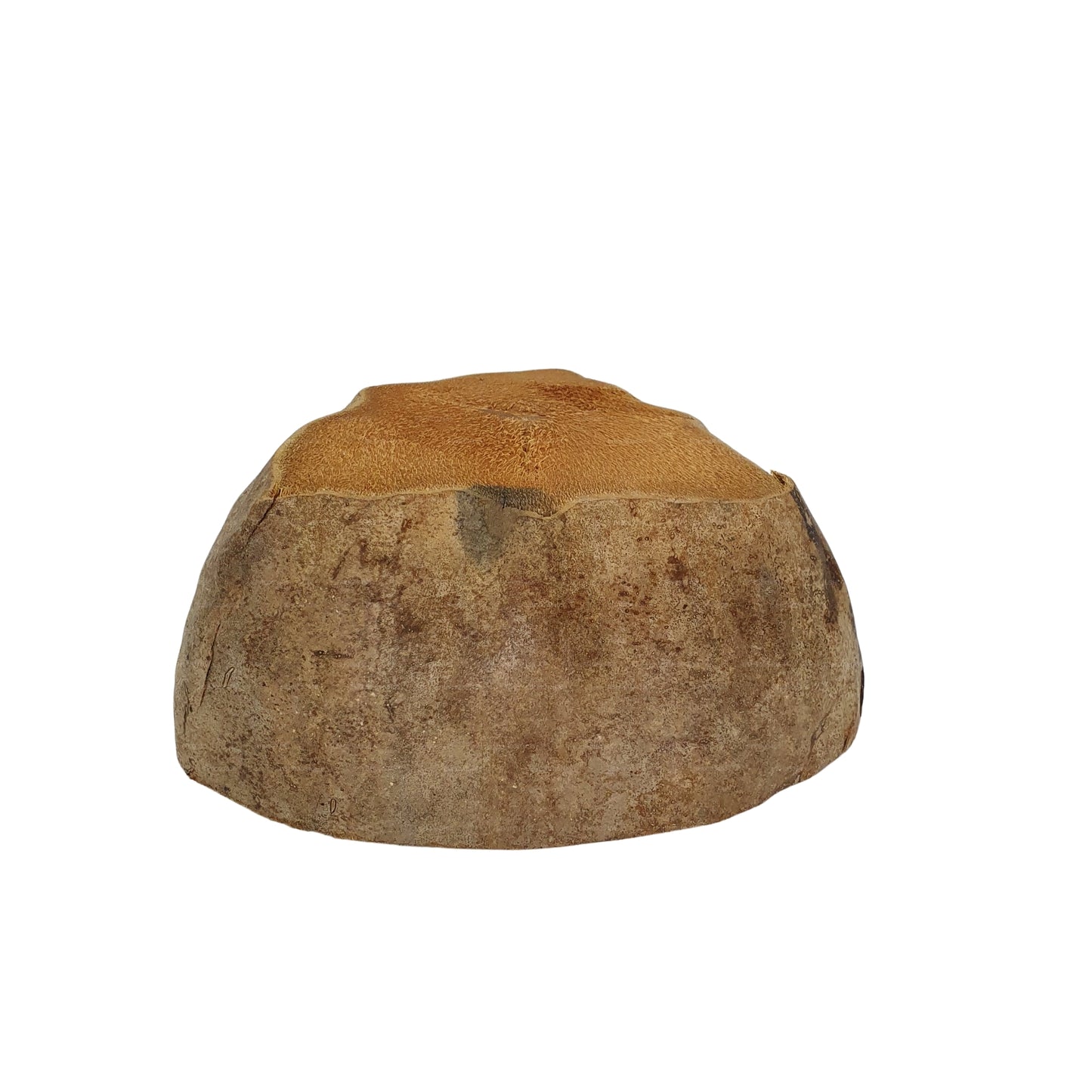 Bivenro Natural Coconut Plantepotte-design (fri størrelse)
