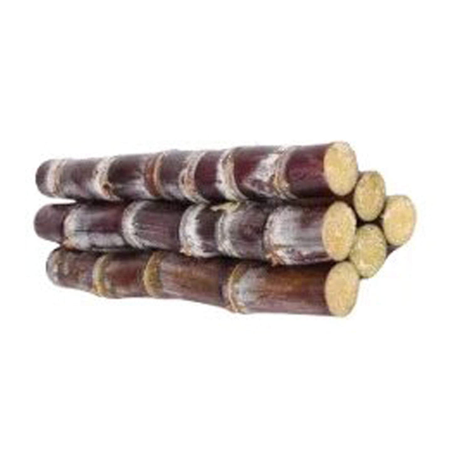 Lakpura® Sugarcane Plant