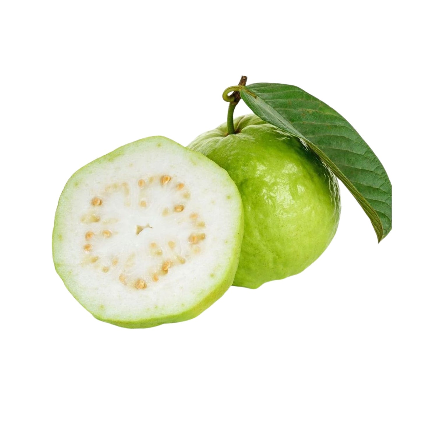 Lakpura Kilo Guava frugtplante