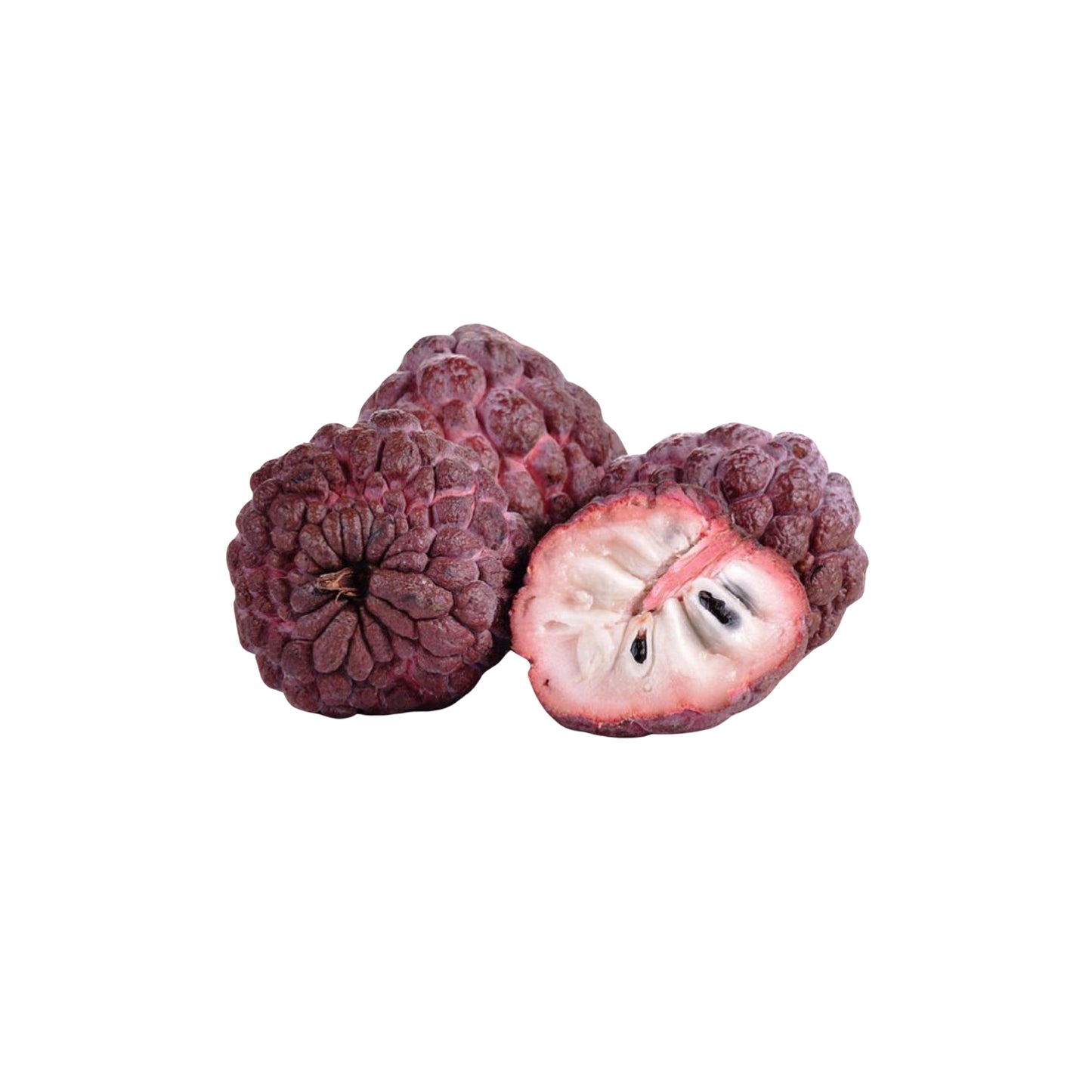 Lakpura Red Custard Apple (Red Seeni Anodha) Fruit Plant