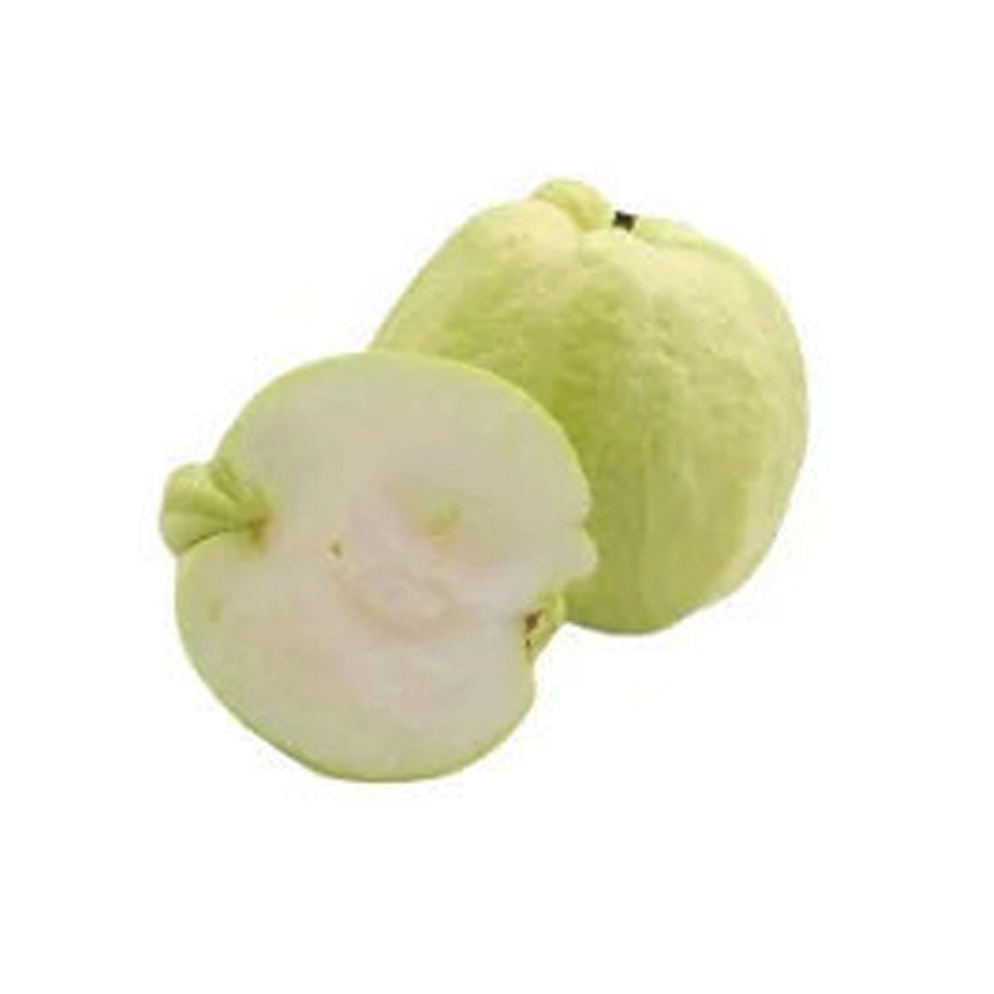 Lakpura hvid æble Guava frugtplante