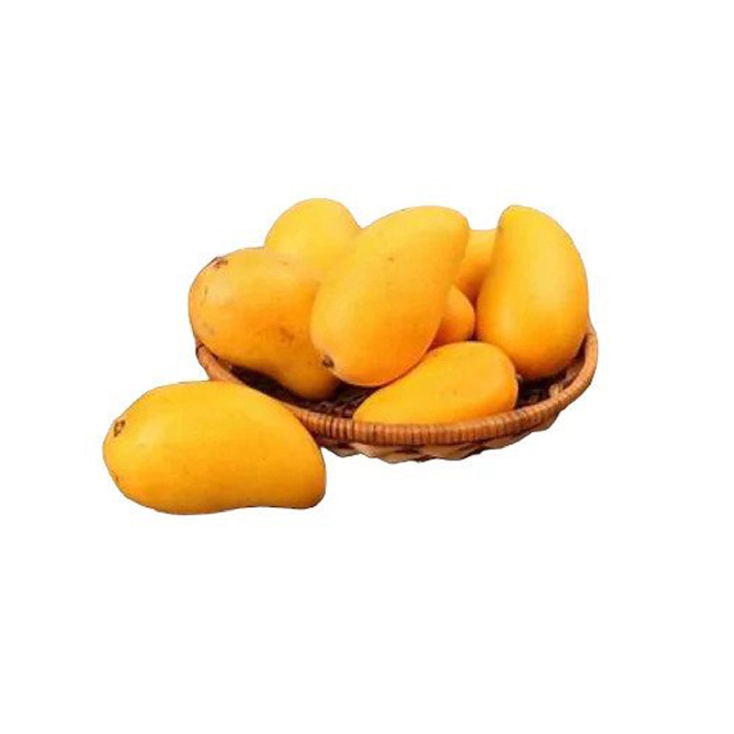 Lakpura® Thai Gira Mango Grafted Plant