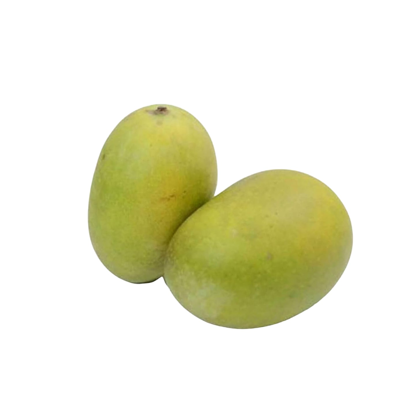 Lakpura® Dampara Mango-podet plante