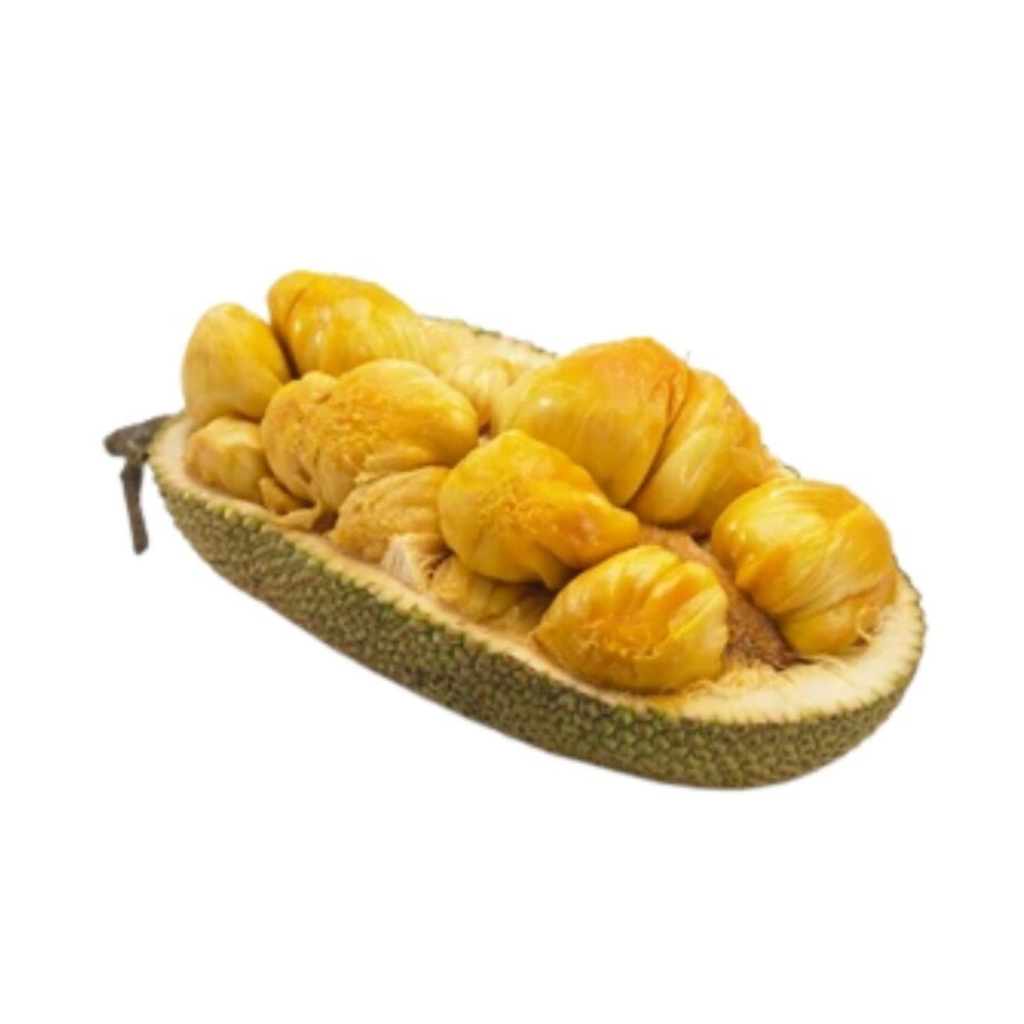Lakpura® Duriyan - Jackfruit Grafted Plant