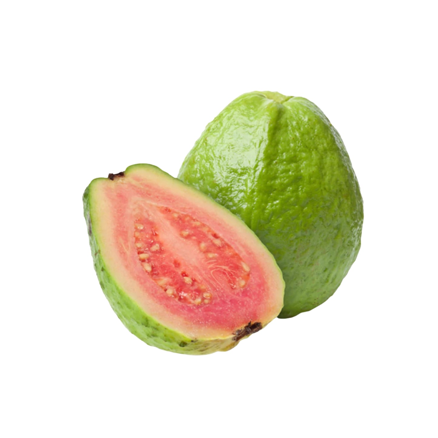 Lakpura Ceylon rød guava frugtplante
