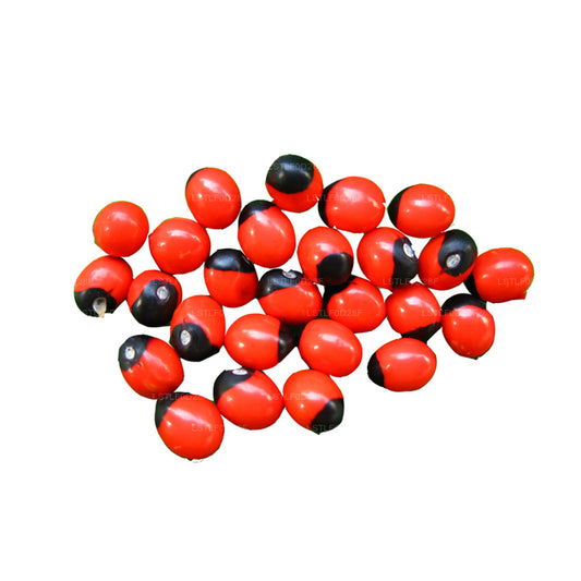 Lakpura® Olinda (marokkansk Abrus) Frø