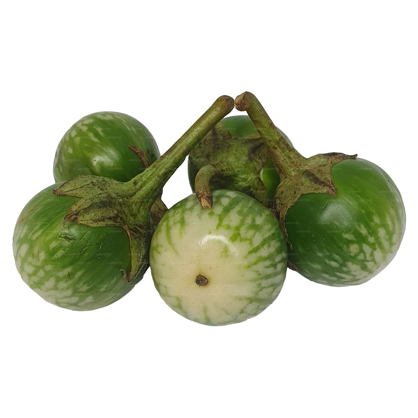 Lakpura® Thai Eggplant/ Thalana Batu