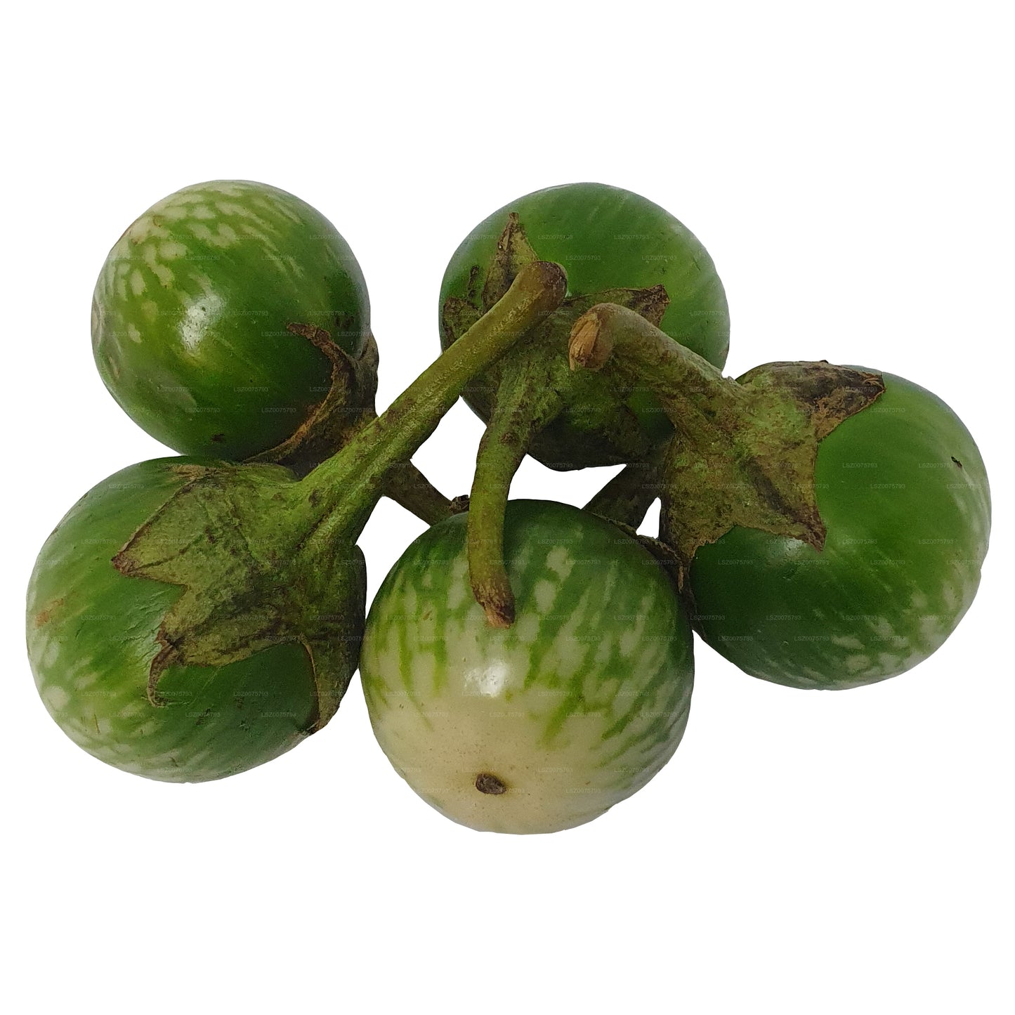 Lakpura® Thai Eggplant/ Thalana Batu