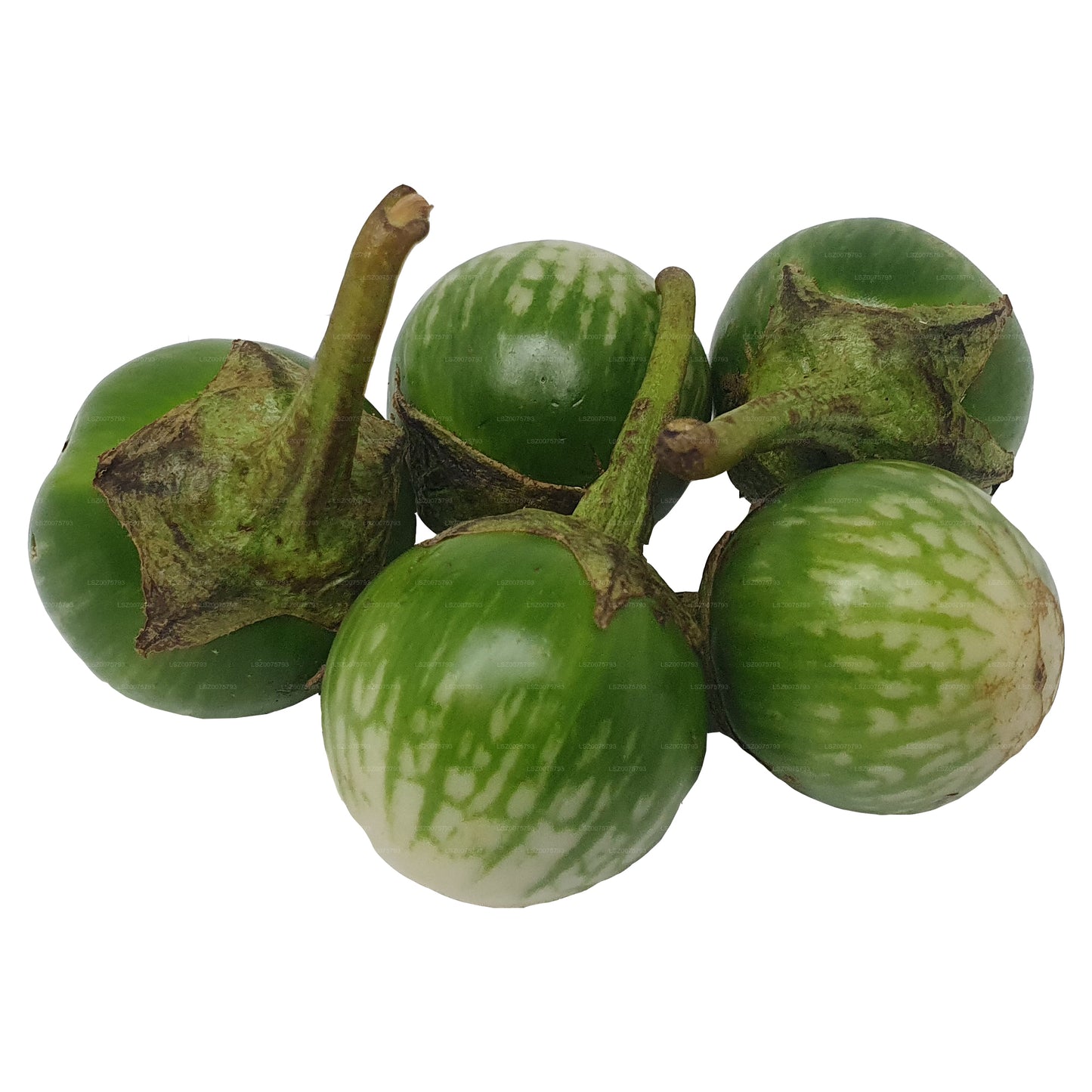 Lakpura® Thai Eggplant/ Thalana Batu