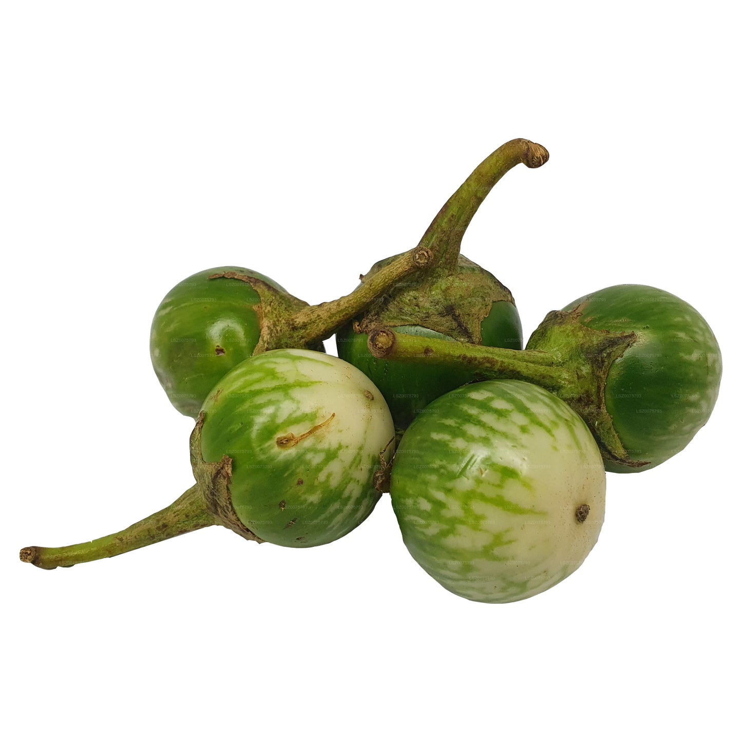 Lakpura® Thai Eggplant/ Thalana Batu