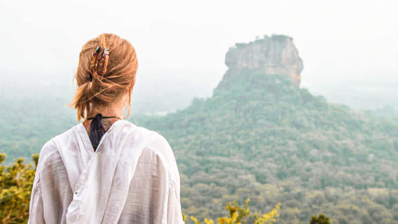 Sigirya og Minneriya fra Colombo (2 Dage)