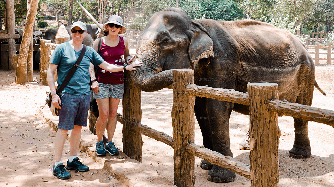 Kultur af bakkerne fra Colombo (2 Dage)