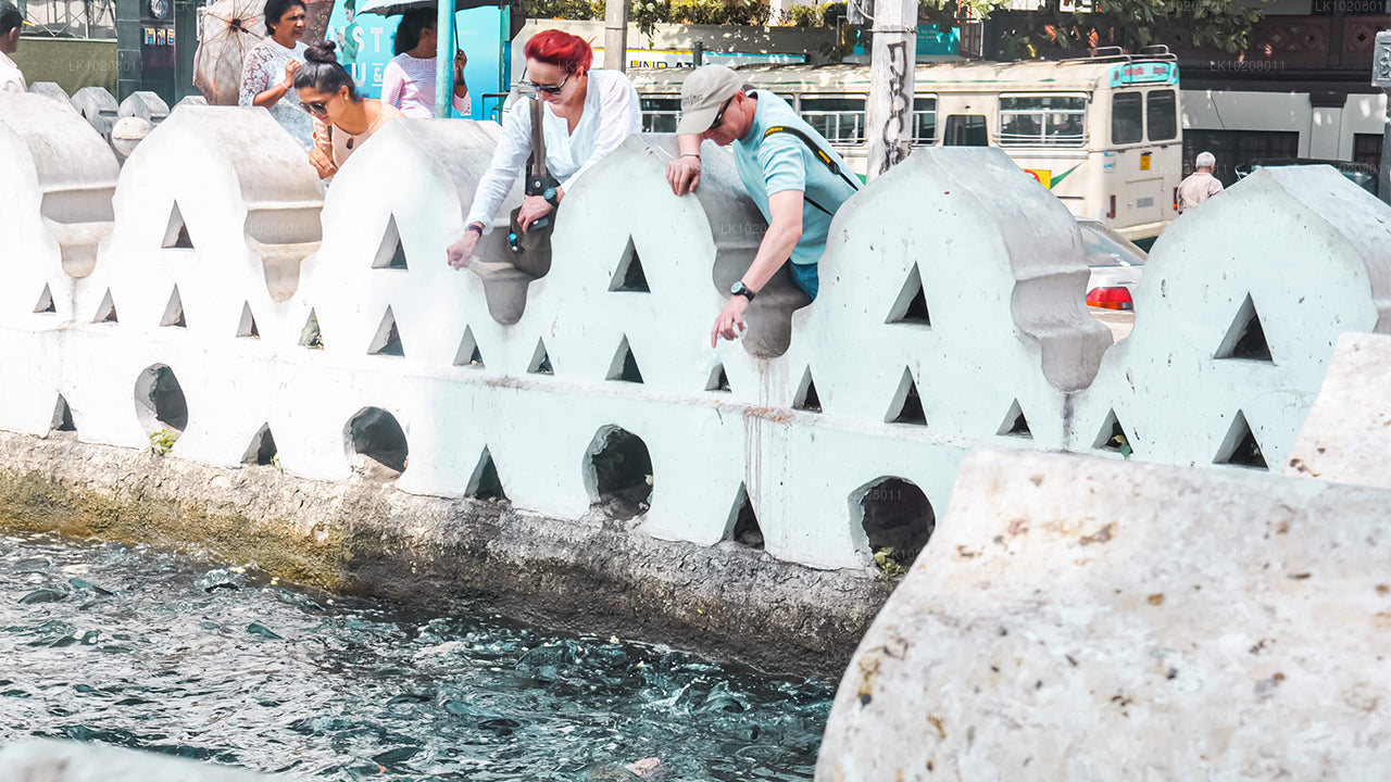 Kultur af bakkerne fra Colombo (2 Dage)