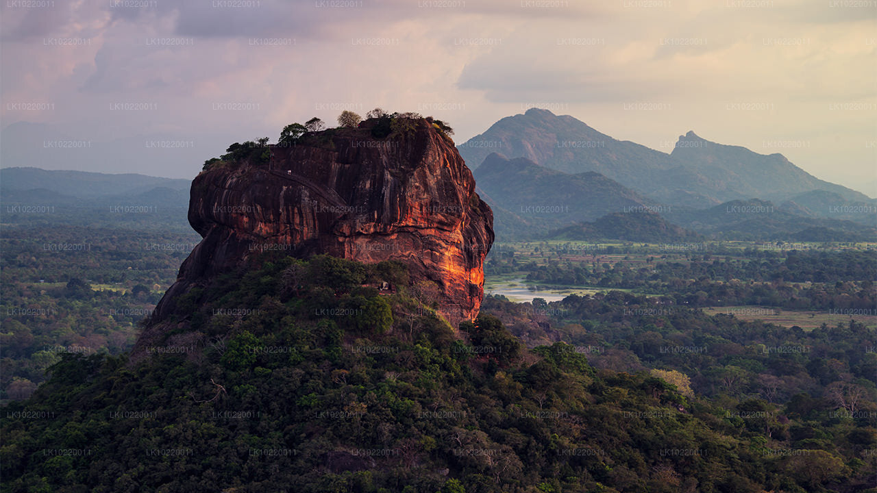 Ethos of Ceylon fra Kandy (2 Dage)