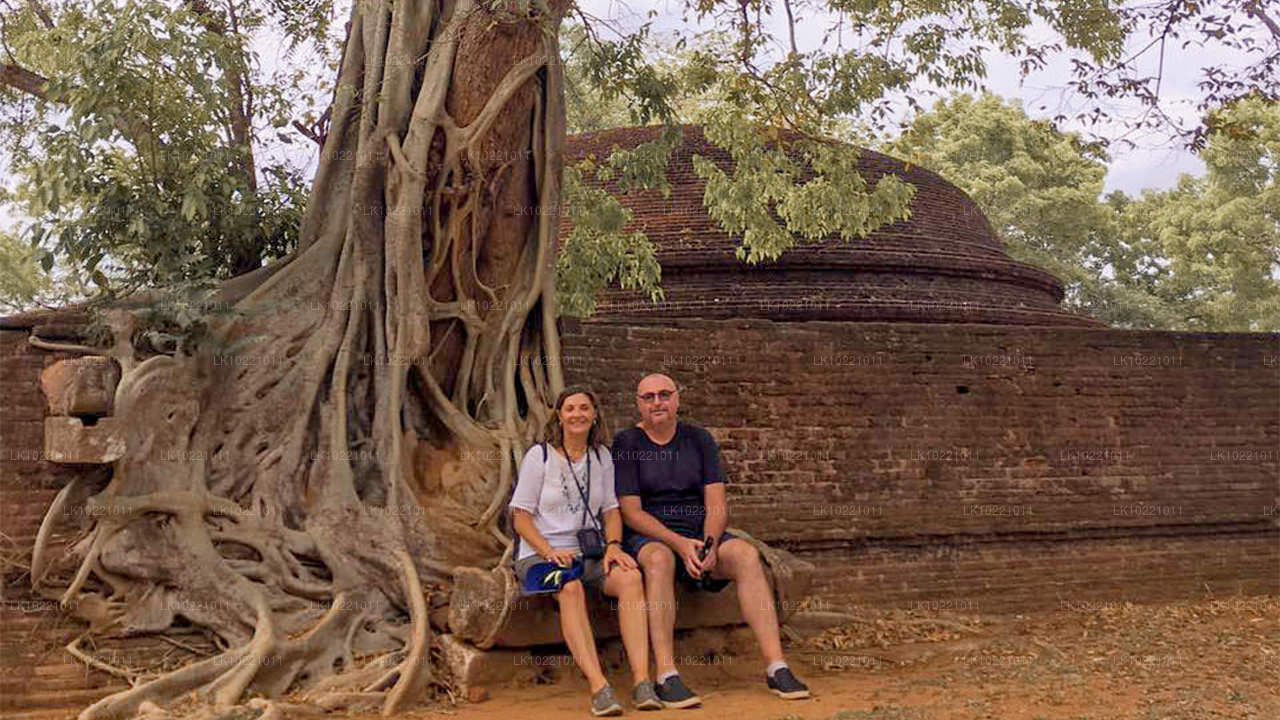 Anuradhapura fra Kandy (2 Dage)
