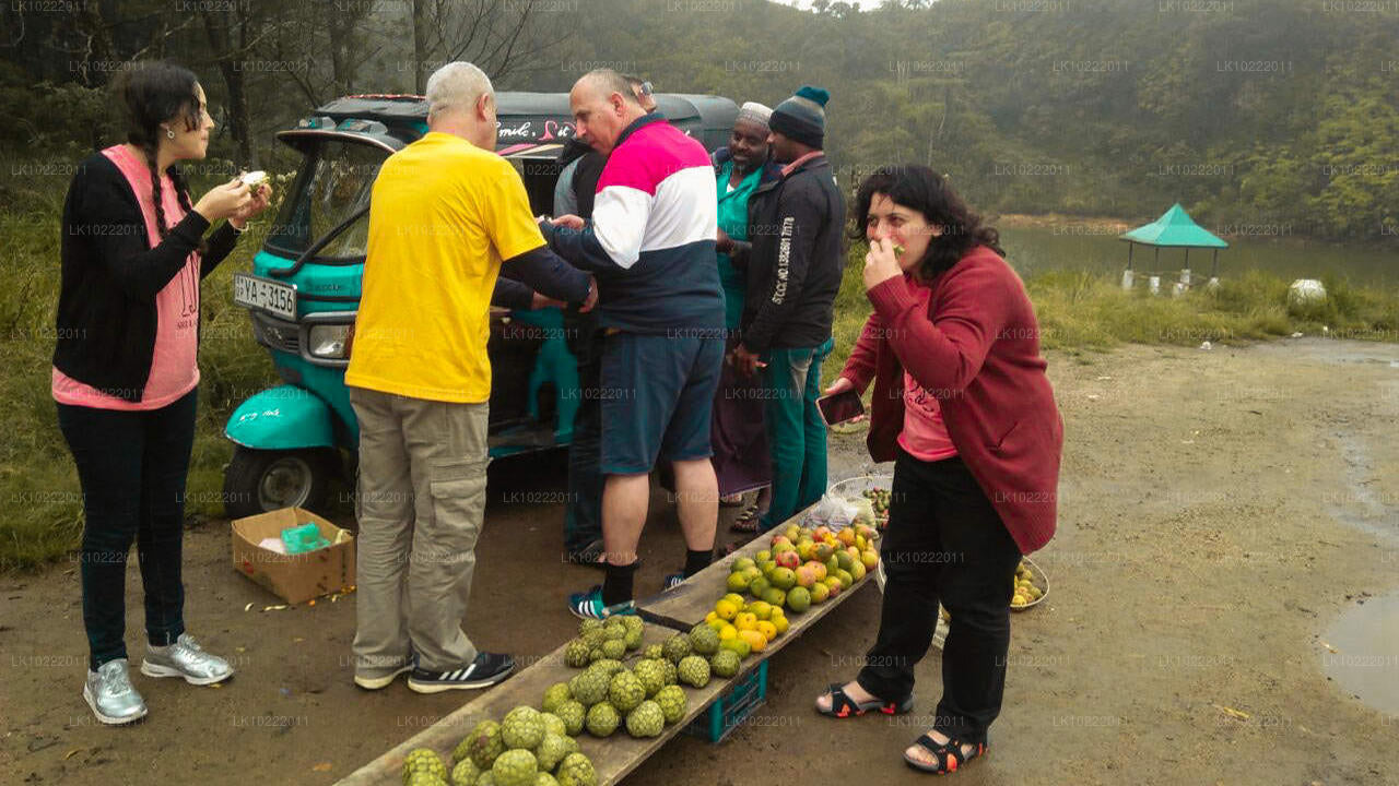 Highland Glory fra Kandy (2 Dage)