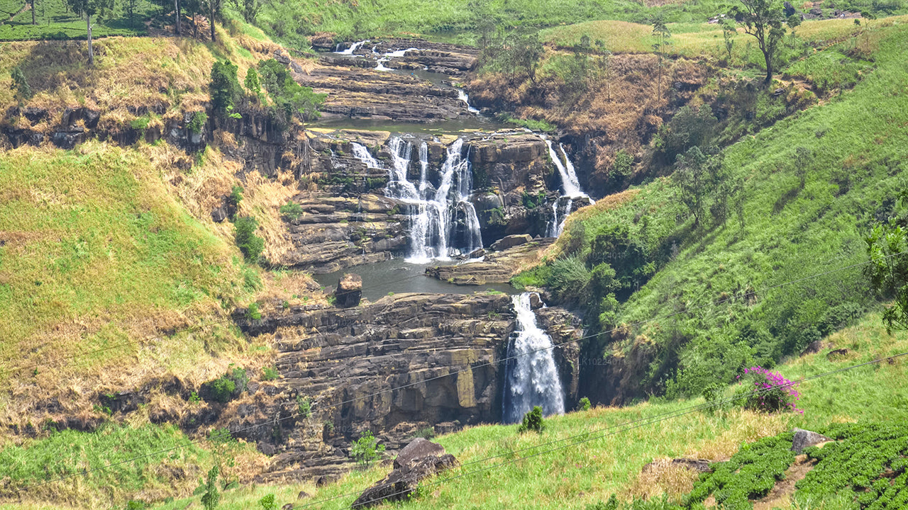 Nuwara Eliya fra Negombo (2 dage)