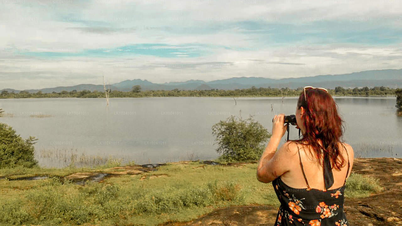 Udawalawe fra Hikkaduwa (2 Dage)