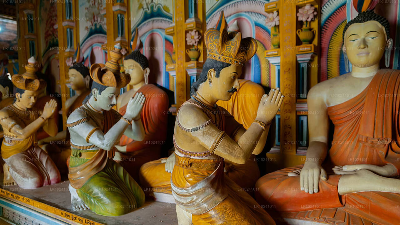 Udawalawe fra Hikkaduwa (2 Dage)