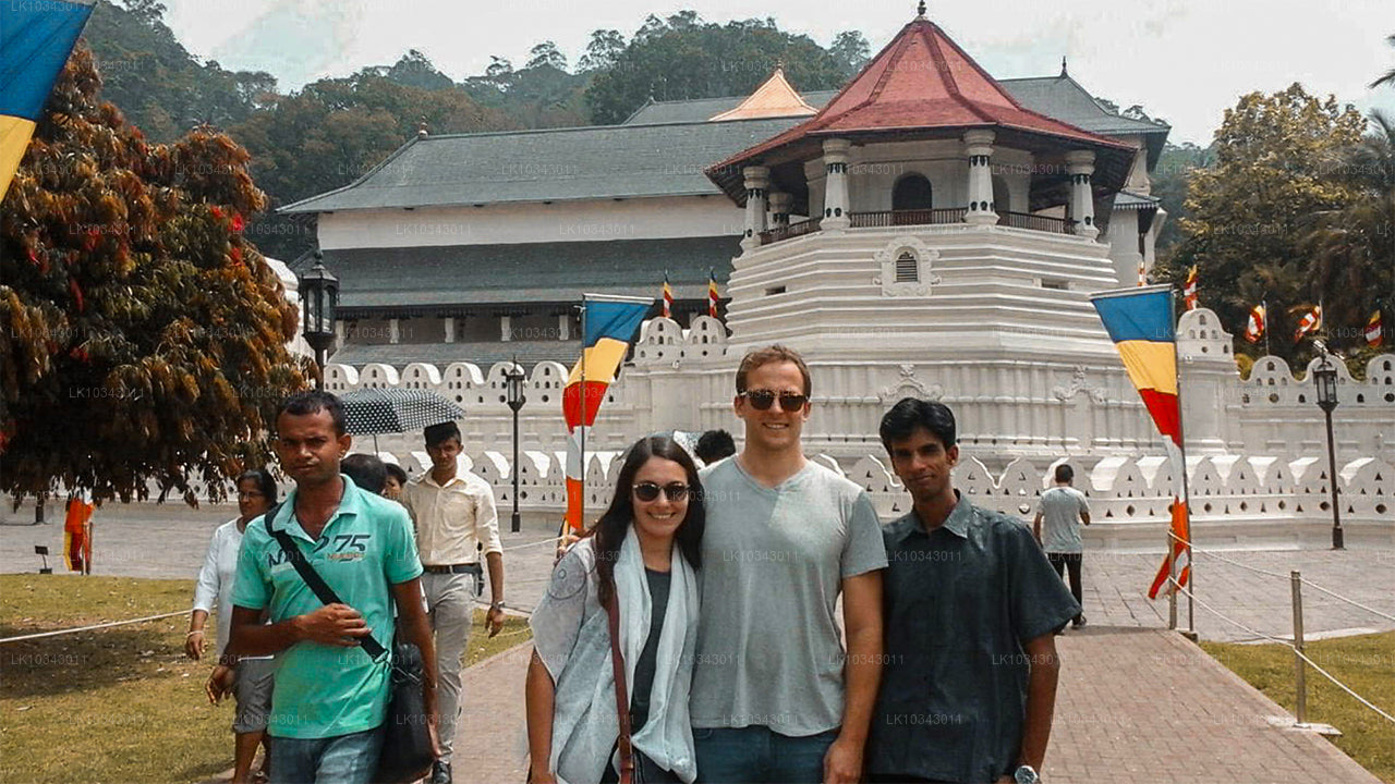 Wonder Island (3 Dage)