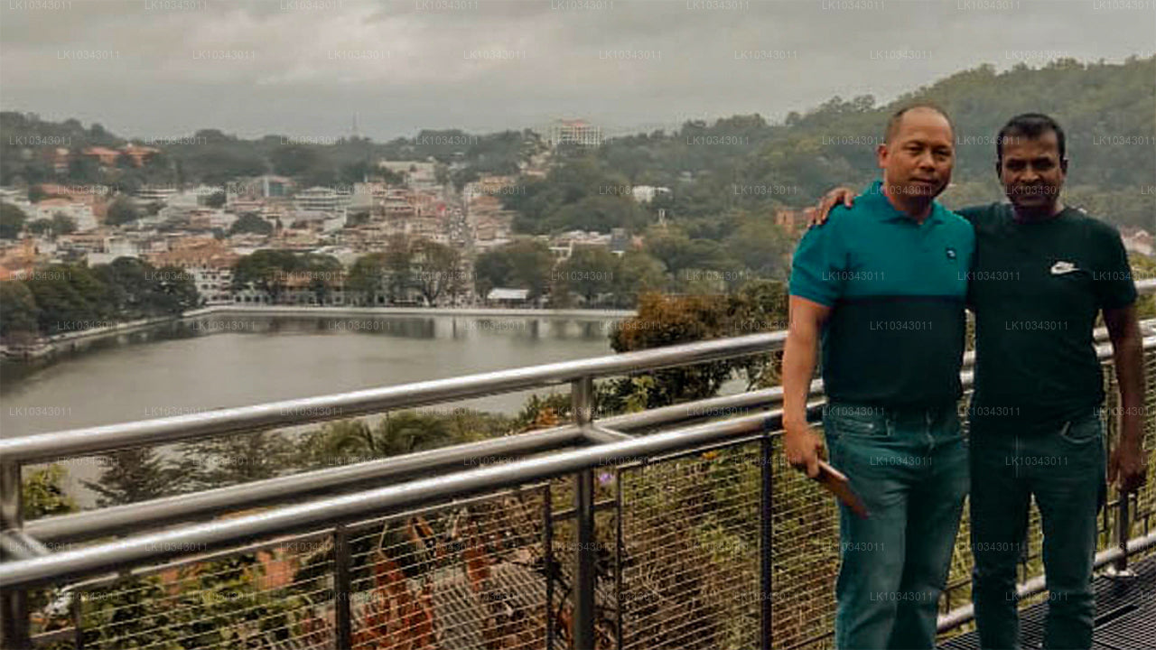 Wonder Island (3 Dage)