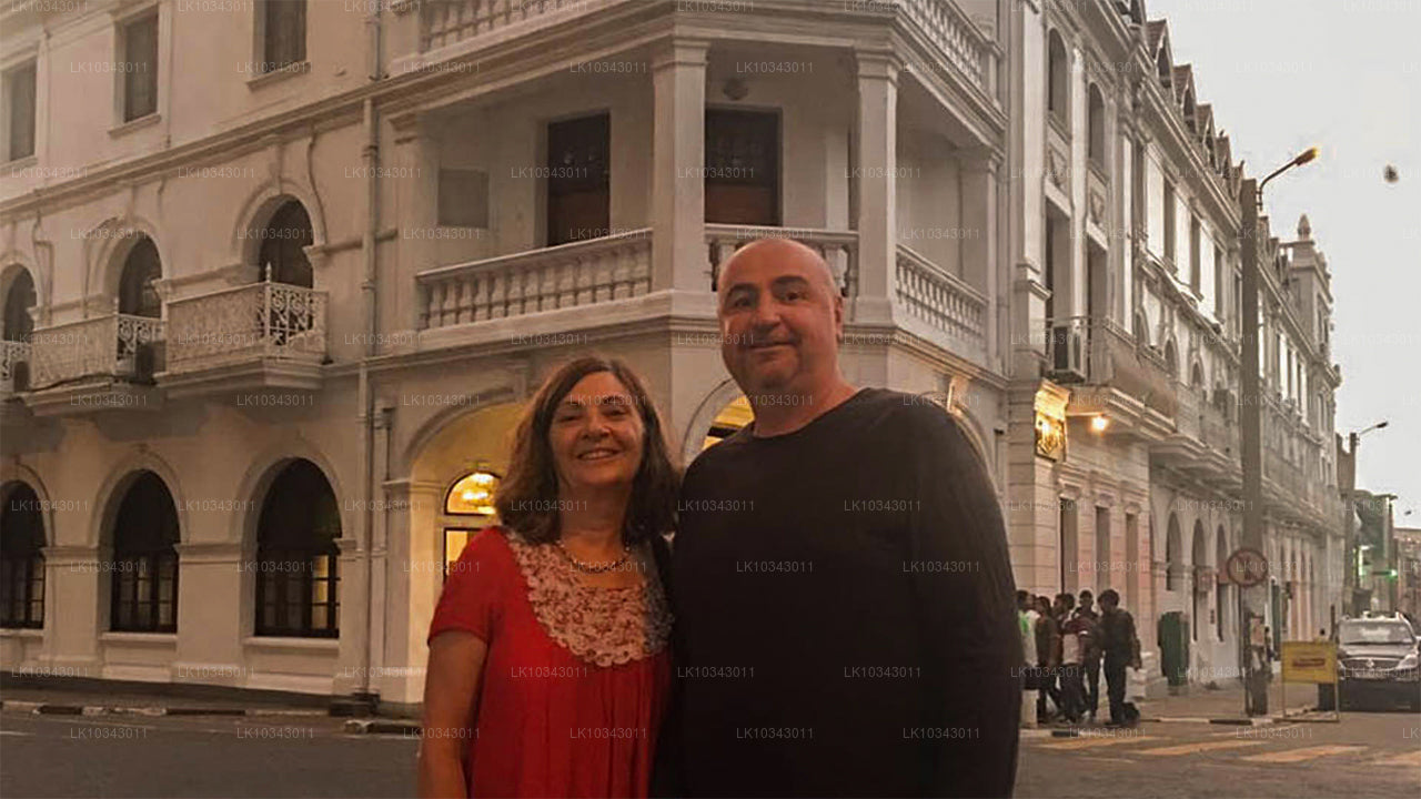 Wonder Island (3 Dage)